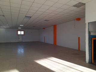 Capannone industriale in Zona Industrial