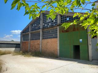 Nau industrial a Sant Llorenç d´Hortons. Nave diafana