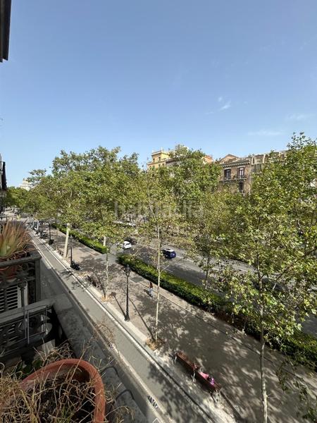 Foto 5a0cbe0a-7dbd-4ab2-8f67-05411575df9f. Alquiler piso  en gran viaplaza universidad en Barcelona
