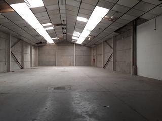 Affitto Capannone industriale in Gorg. Nave equipada