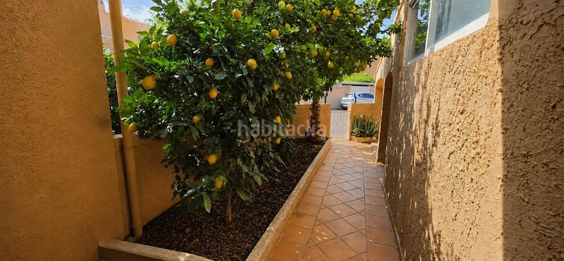 Foto 2c6427e5-9a8b-4d18-b76c-5ce23ff022a1. Casa adossada amb aparcament a Palmanova Calvià