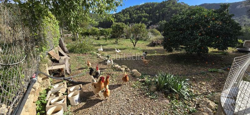 Foto b505b6f3-54da-4d7d-9077-889ca64329bd. Masia a Andratx Andratx