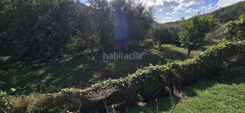 Foto ca5ef350-a15b-49cc-ac70-3e289a795651. Masia a Andratx Andratx