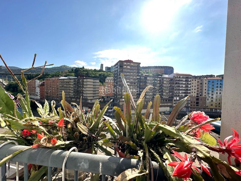 Foto d425e755-48a8-43e9-91e1-850f4a9b6521. Piso miraflores etorbidea en Atxuri Bilbao