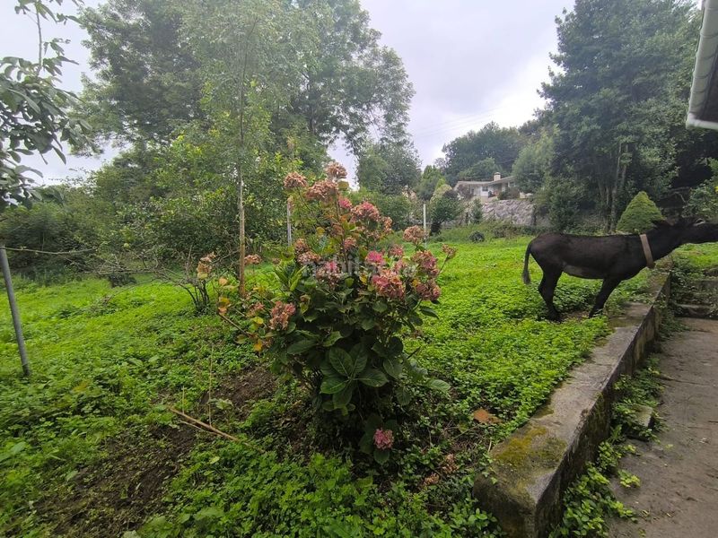 Foto 8d43cbea-1da4-4d20-8c9b-b7a158af4006. Casa a Galdames