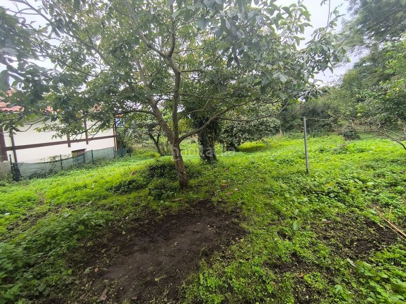 Foto dddd649f-5125-4f46-9769-1fd9cb91fa0c. Casa a Galdames
