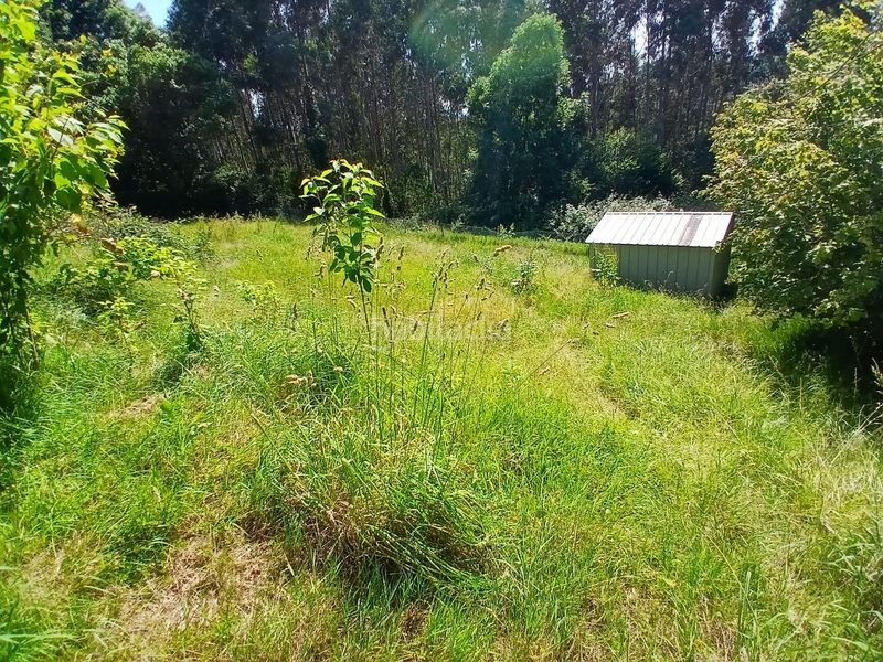Foto b1acb11b-c36c-4fc8-b408-af6ce033069b. Chalet guremendi en Lemoiz
