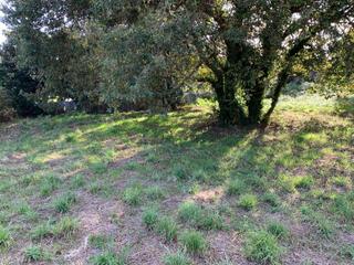Finca rústica a O Carril. Finca edificable en xiabre-carril villagarcia pontevedra