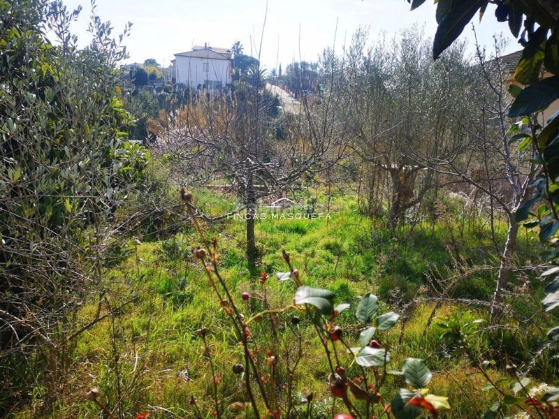 Foto efcf37df-cf0b-4b46-afe6-186ce4a764c4. Finca rústica a calle l a Masquefa