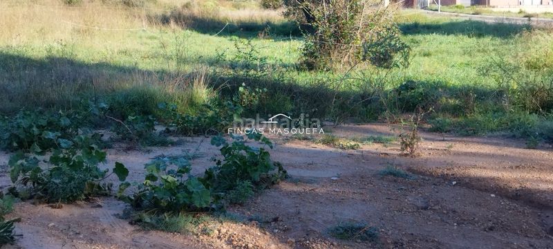 Foto 308553e9-cc9d-40bc-abc4-f8a3ba2f78ea. Finca rústica a Masquefa