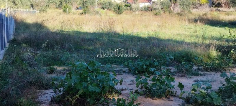 Foto 5f384520-ff49-4781-b660-c460e97f403e. Finca rústica a Masquefa