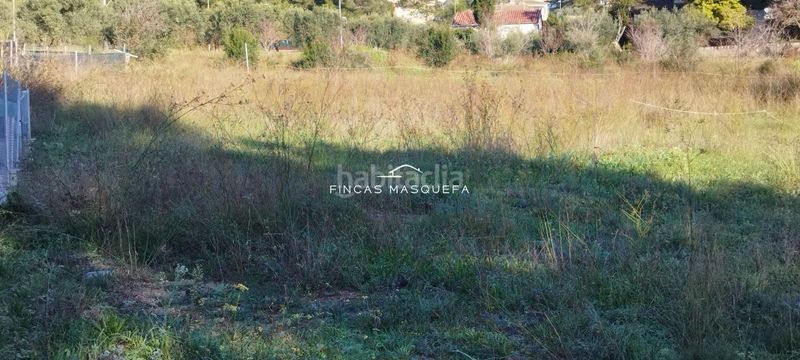 Foto ecf2bf2d-759a-427d-95f5-b1aa277c2ad1. Finca rústica a Masquefa