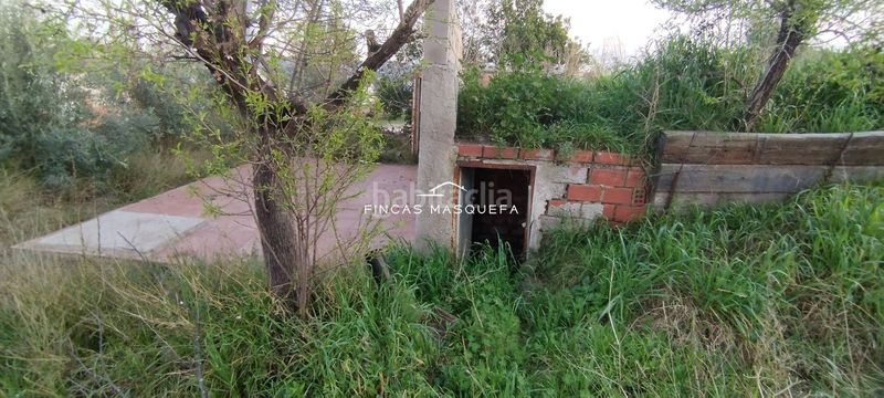 Foto 54f03f75-fb3f-488c-bd8c-8ec8cdba0d95. Finca rústica a Masquefa