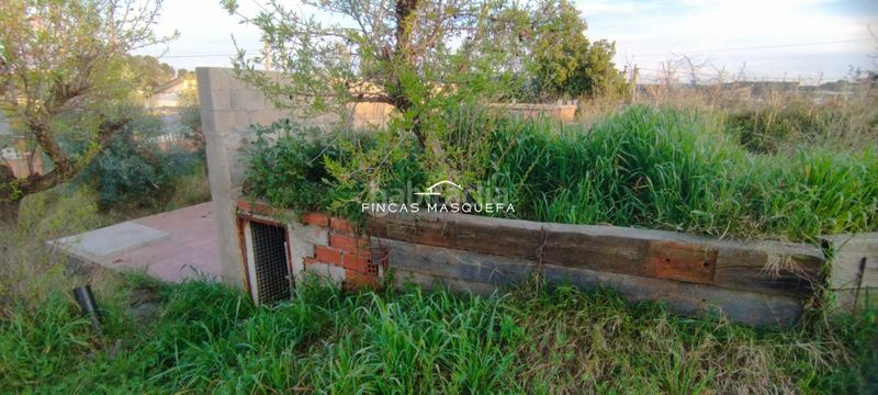 Foto 635bfd2e-8176-4f3d-909d-ae665eb78e15. Finca rústica a Masquefa