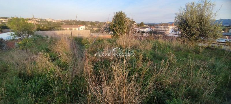 Foto 7ffa0ba2-d3c6-453d-80d9-50c4378f7ff8. Finca rústica a Masquefa