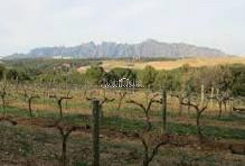 Foto f16d9d57-b554-4f8a-abf1-a5fe858a7435. Finca rústica a Piera