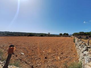 Xalet  Costitx