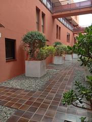 Flat in Avenida ansite