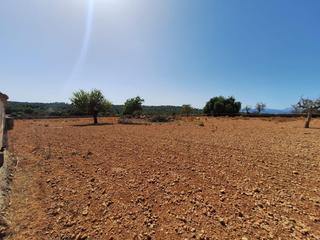 Chalet  Costitx