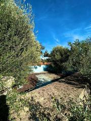 Casale  Major