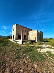 Masia  Major
