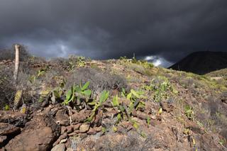 Terreny residencial  Rosafor