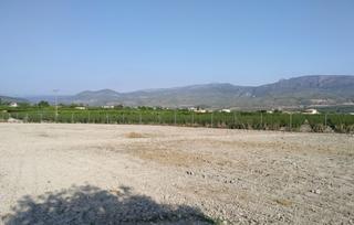 Terreny residencial  Finca