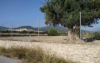 Terreny residencial  Finca