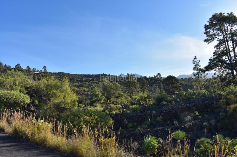 Foto d065e04f-ac32-4d23-9d8f-b4f7be759d50. Country house in Santiago del Teide pueblo Santiago del Teide