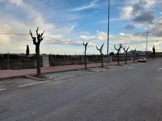 Residential Plot  Los lisos