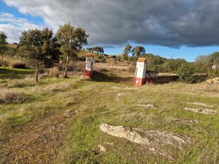 Mas  La codosera, badajoz