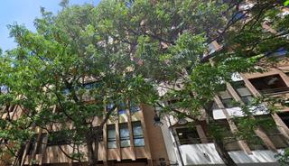 Location Appartement  Guillem de castro