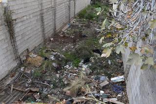 Residential Plot in 38632