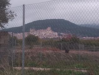 Terreno residencial  Finca