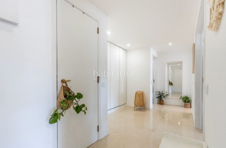 Foto 1007cfb9-746b-4617-bcb5-bab01ee4a49c. Àtic amb aparcament a Centro Jerez de la Frontera