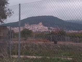 Terreny residencial  Finca