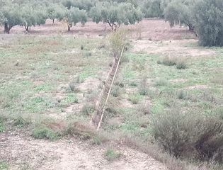 Terreny residencial  Finca