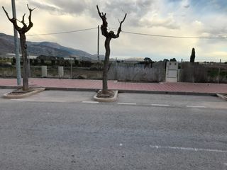 Terreny residencial  Los lisos