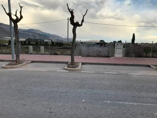 Terreno residenziale  Los lisos