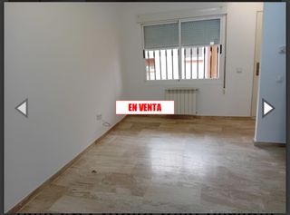 Pis  San antón