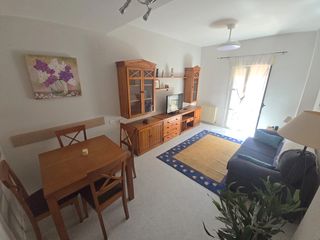 Lloguer Apartament  Camiono llano