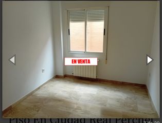 Pis  San ant�n