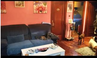 Appartement  San miguel