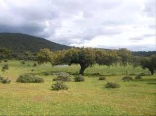 Masia  Barcarrota
