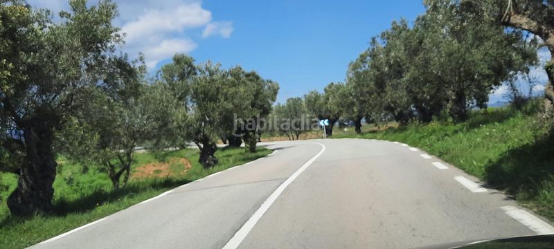 Foto 7090eccc-3722-4997-b82e-6a28419a98b7. Residential plot in Sant Llorenç d´Hortons