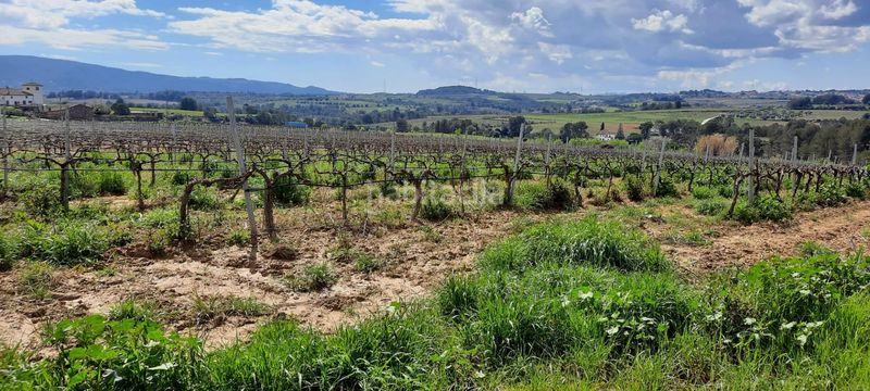 Foto a7450885-ad4d-4d2e-9624-8fcaa4aa58f7. Residential plot in Sant Llorenç d´Hortons