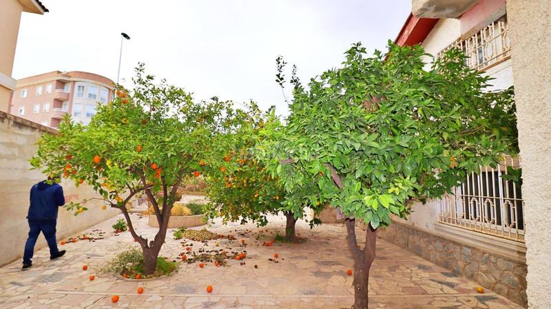 Foto 09217e41-4201-4399-b058-65c27de6d57d. Chalet elcheelxchalet en Pont Nou - Corazón de Jesús Elche / Elx