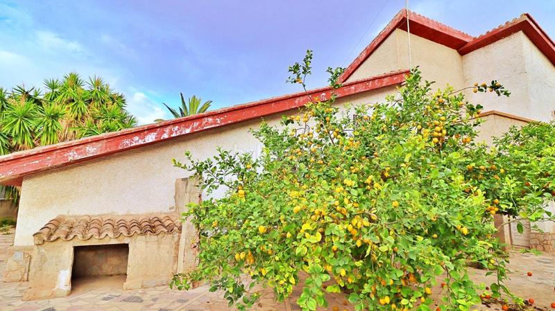 Foto e1cb9782-76ce-4bec-9b80-e3e962e38bb9. Chalet elcheelxchalet en Pont Nou - Corazón de Jesús Elche / Elx