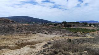 Masia a Pont Nou - Corazón de Jesús. El pinósfinca rustica