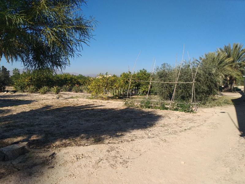 Foto b88816d3-4f18-4861-aba0-a666e9ad801b. Chalet dans La Algoda - Matola - Llano de San José Elche / Elx